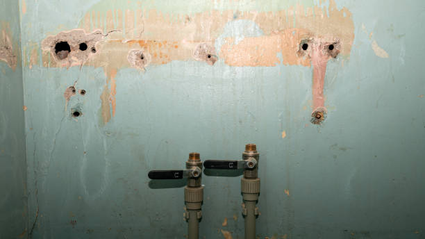 Best Basement water damage restoration  in Susan Moore, AL