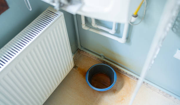 Best Flooded house restoration  in Susan Moore, AL